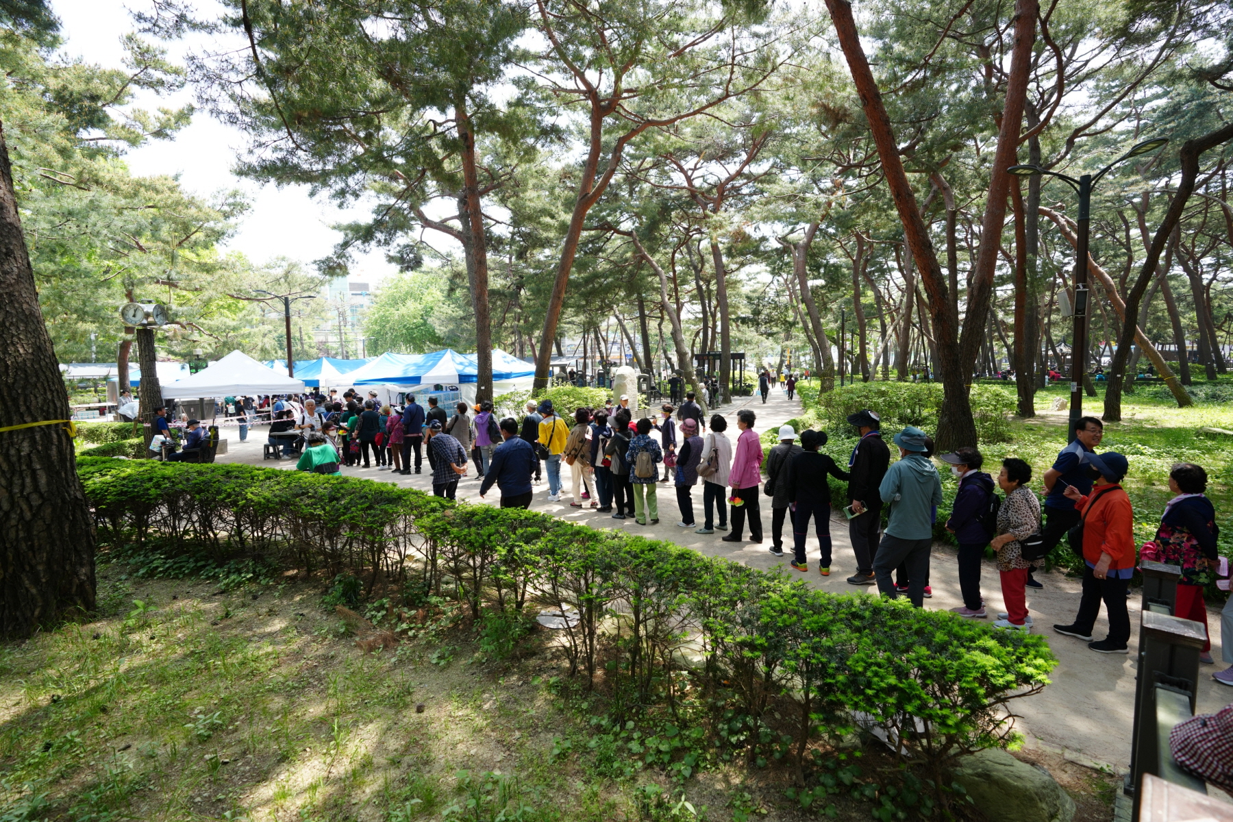 제2회 강북구 어르신 효문화 축제