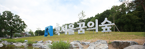 Forest of Northern Seoul’s Dreams